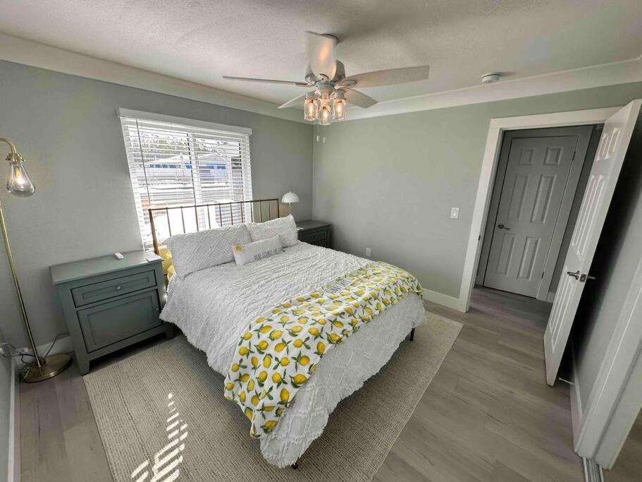 New Dog Paradise - Near The Beach Img & Downtown Bradenton Exterior foto